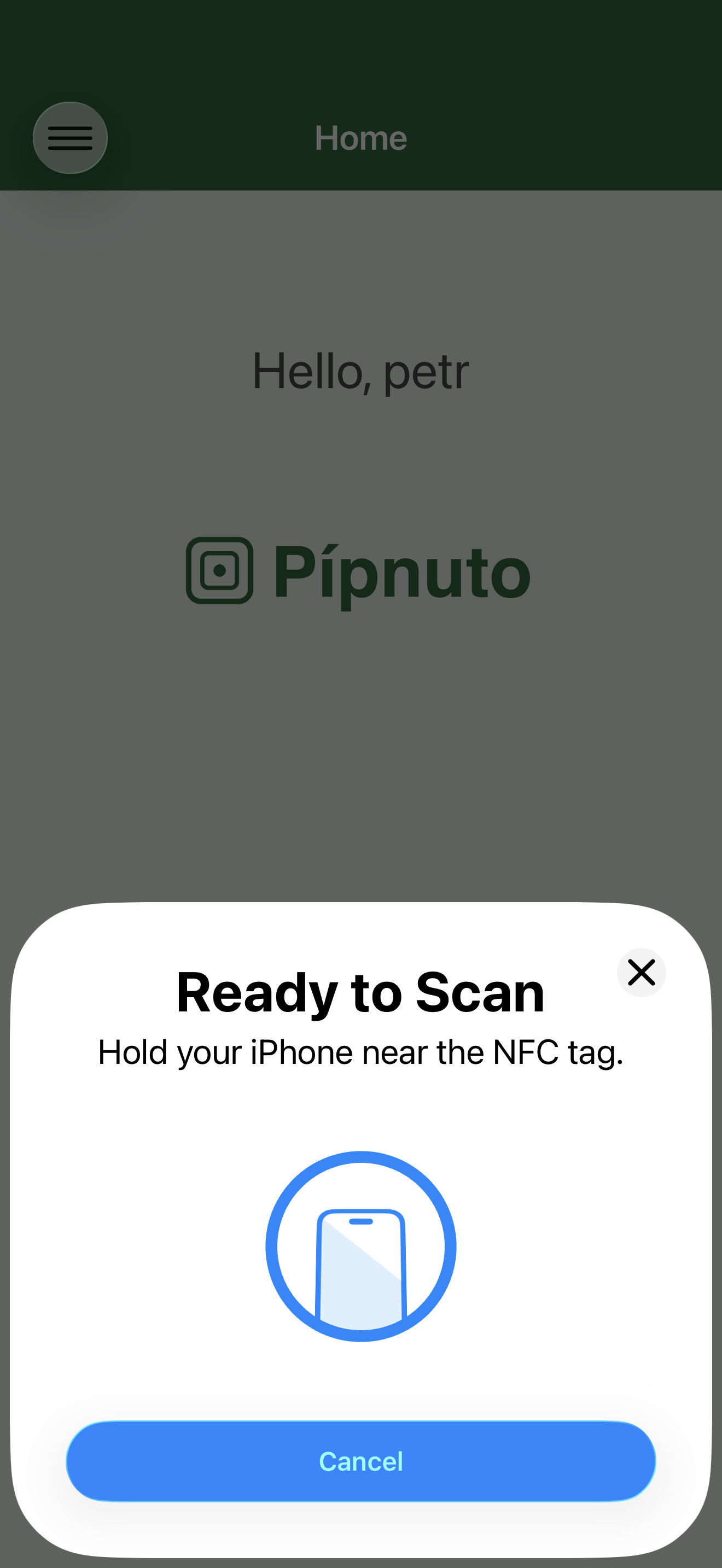Ready to scan